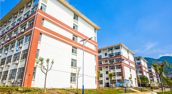 巢湖公司校园风景